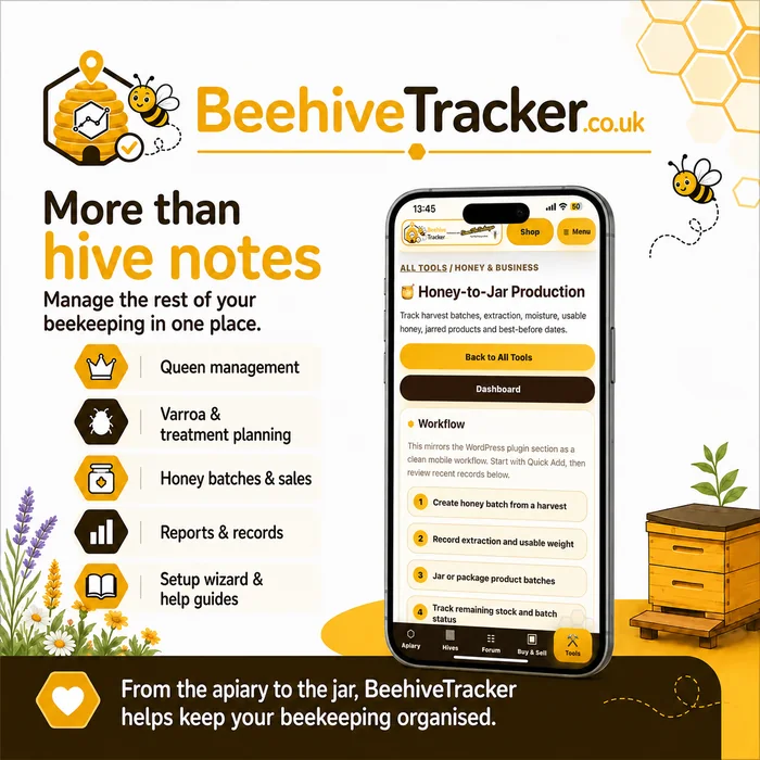 More than hive notes
