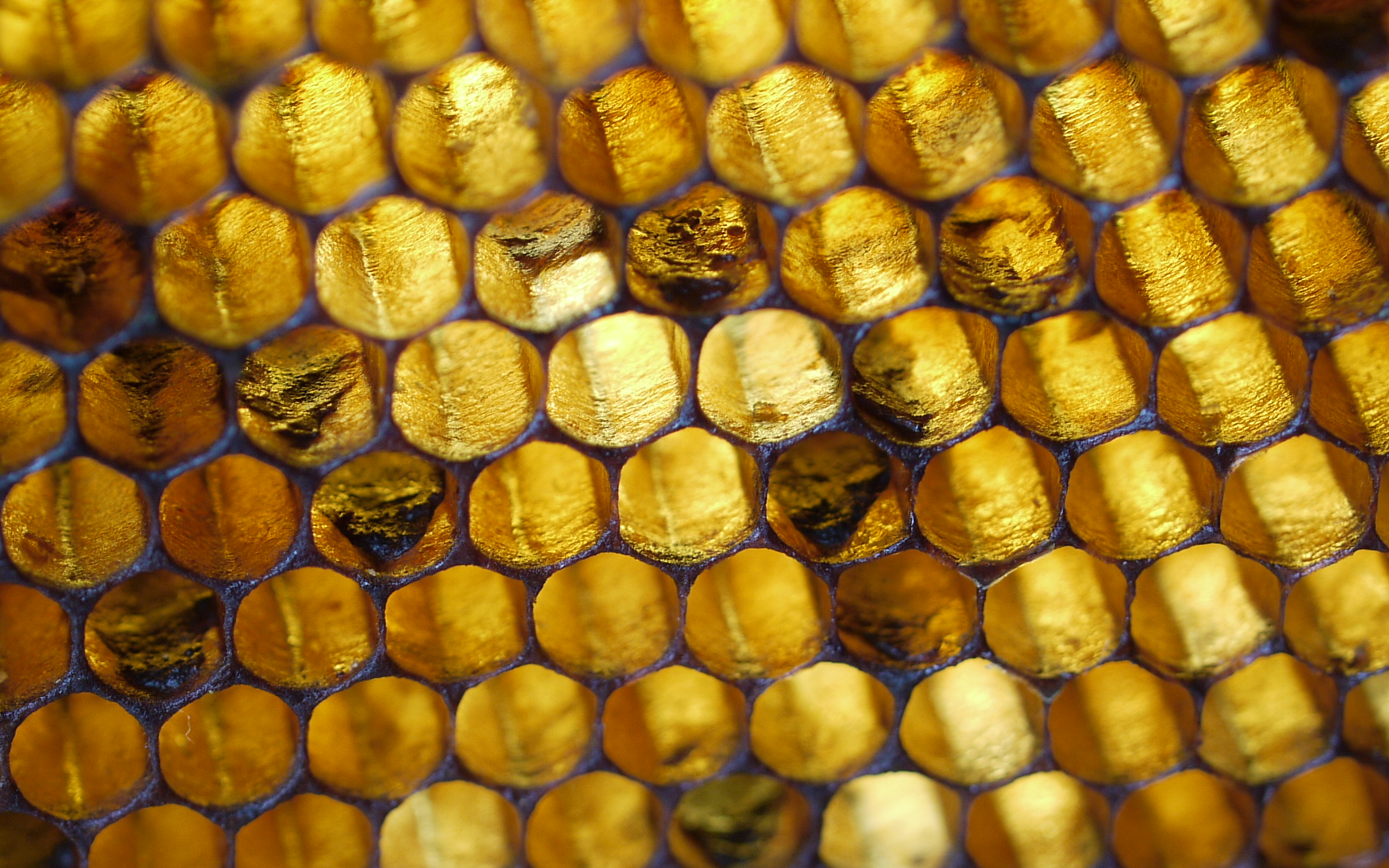 How to Manage Bees in Summer: Practical UK Beekeeping Guide